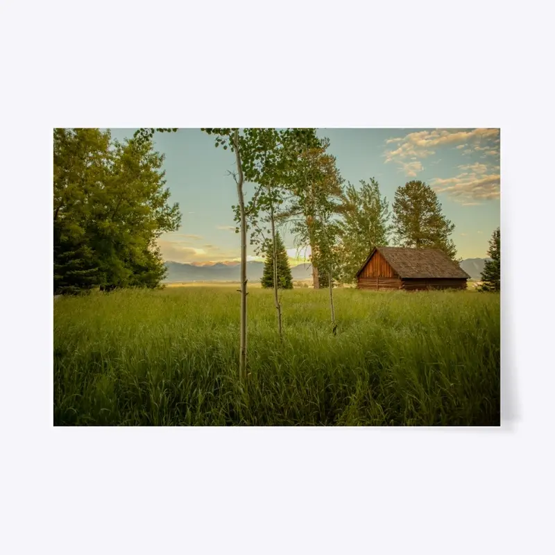 Grassy view of The Tetons