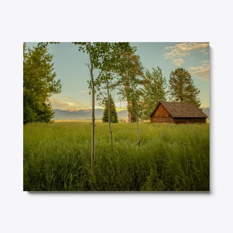 Grassy view of The Tetons