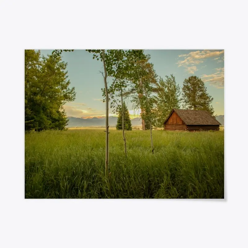 Grassy view of The Tetons